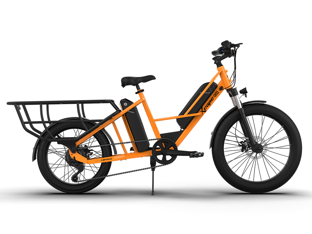 Emotorad G1 cargo E-cycle