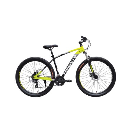 "FRASER 29"" 21 Speed "