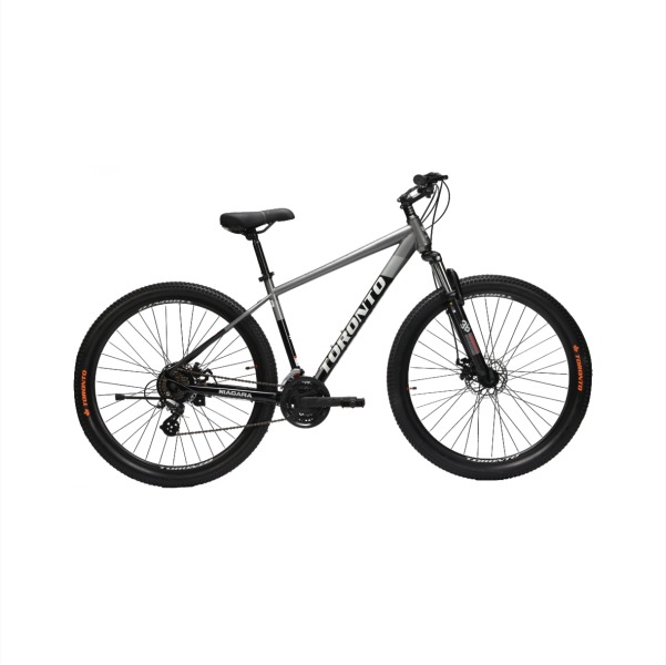 NIAGARA 29" 21 Speed