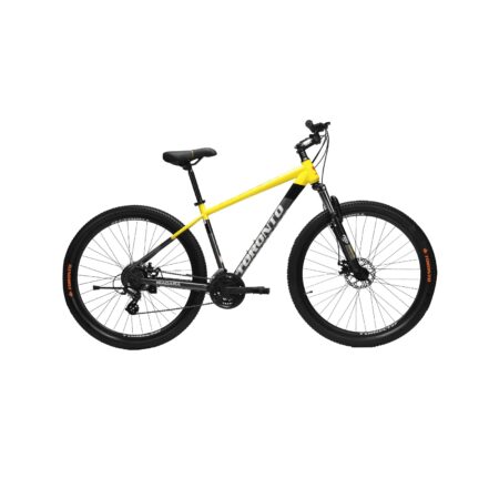 NIAGARA 29" Single Speed