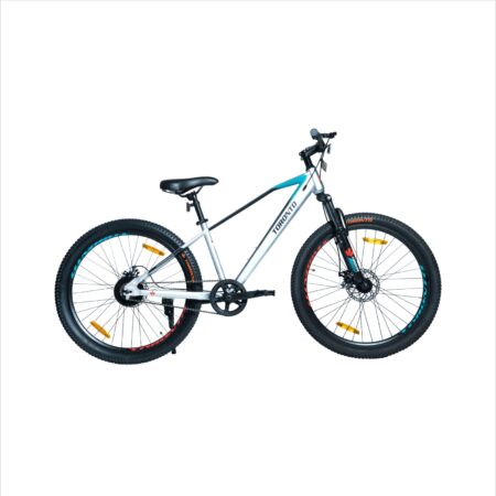 SKYWALK 24" Single Speed