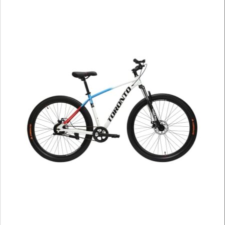 THELON 29" Single Speed